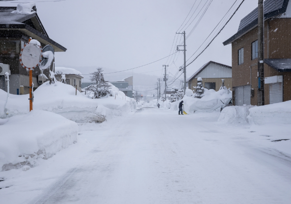 雪の積もった道